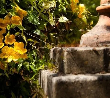 Spiti Prifti * Gouvia